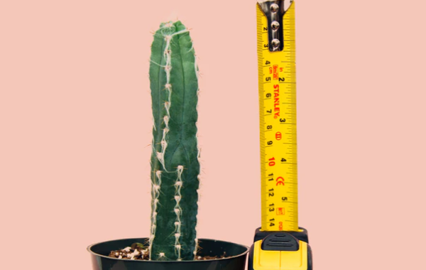 回答顧客的尺碼問題