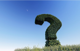 專業(yè)的客服外包公司為網(wǎng)店解決了哪些問題