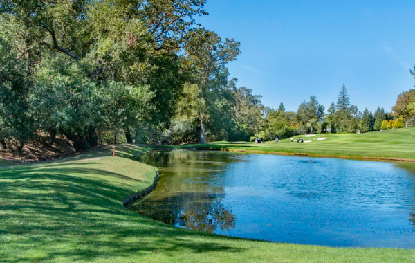 贊美買家的家鄉