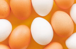 客服外包公司您了解多少？客服外包的初步了解