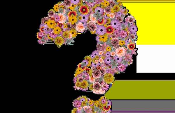 自建客服遇到的問題