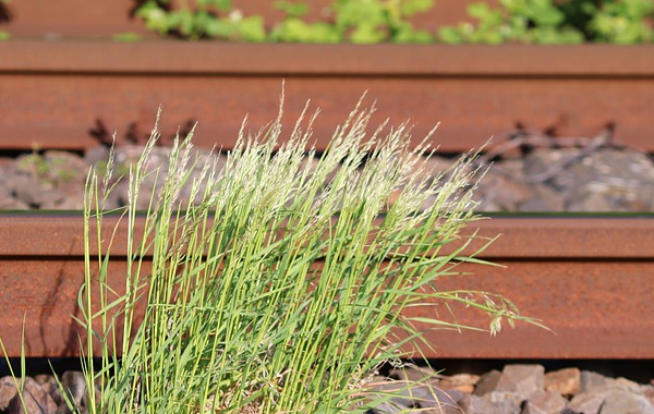 客服外包公司門檻