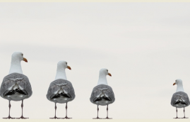 客服外包為什么會成為一種流行趨勢?