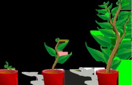 哪家阿里巴巴外包客服公司比較靠譜?怎樣找?