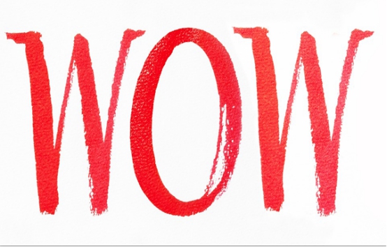 客服公司專業(yè)程度高