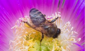 淘寶服裝外景拍攝技巧,怎樣拍攝的效果比較好