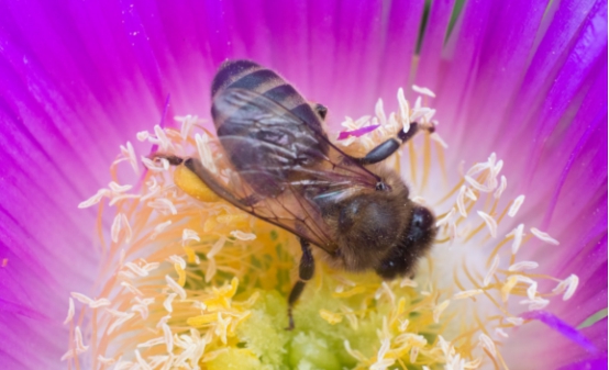 淘寶服裝外景拍攝技巧，怎樣拍攝的效果比較好