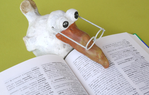 淘寶客服需要了解的專業(yè)知識，都包括哪些知識點