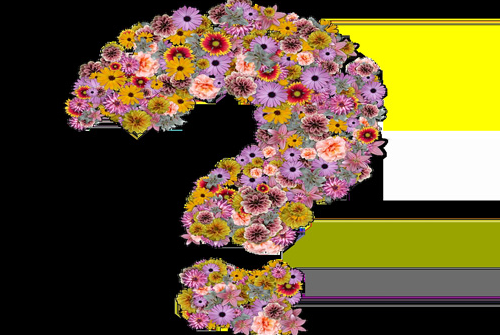 客服外包合作容易出現(xiàn)的問題（客服外包合作容易出現(xiàn)以及要注意的問題）