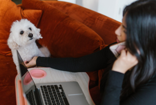 京東售前銷售客服培訓工作重點