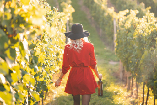 服裝模特的拍攝