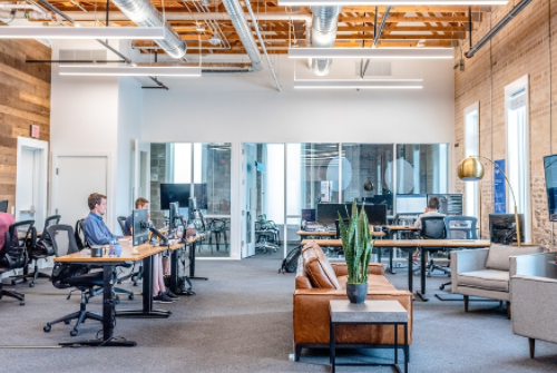 良好的適應能力