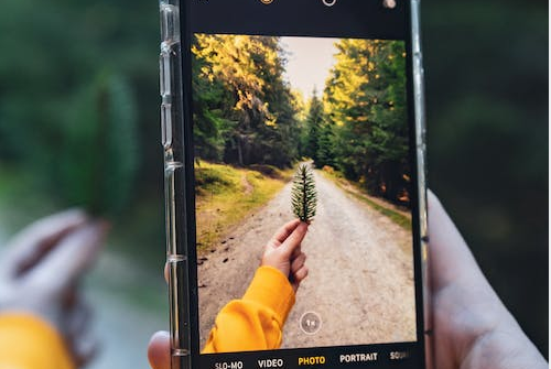 手機(jī)拍攝圖片