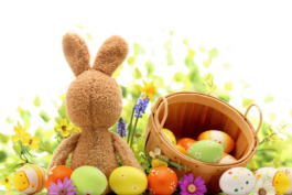 怎么在淘寶平臺上選擇網店的貨源?