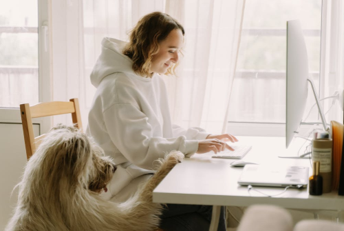 如何查看快手管理員操作記錄？從哪里找？