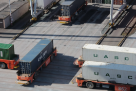 超過24小時拼多多商家沒有發貨會有什么懲罰？