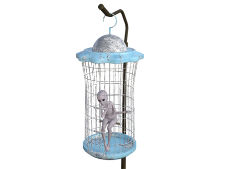 抖音小店物流信息沒有更新會(huì)被處罰嗎？會(huì)有什么處罰？