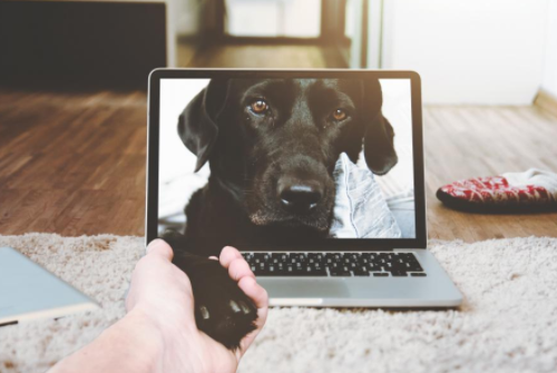 抖音新手漲粉技巧（抖音網店如何漲粉）