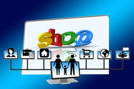 京東店鋪的運(yùn)營知識(該如何做京東網(wǎng)店的運(yùn)營?)