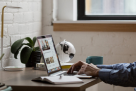 京東店鋪的轉讓步驟（轉讓店鋪注意事項）