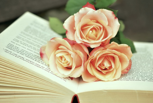 拼多多管理崗職責(zé) 拼多多管理崗位的工作技巧