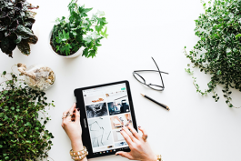 拼多多開無貨源店鋪如何選品好？選品方法是什么？