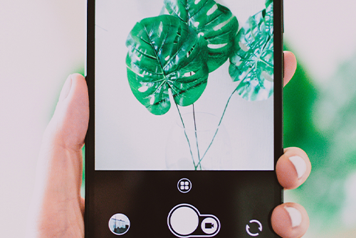 拼多多產品如何擺放？拍攝技巧是什么？