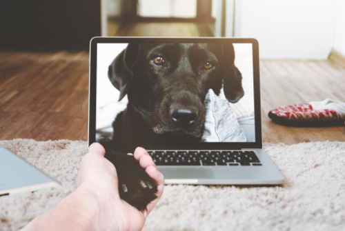 為什么快手不能帶錢的字幕？