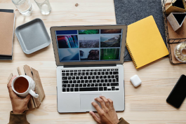 新手京東網店運營如何設計?如何規劃?