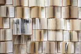 辦理快手小店的營業執照需要準備的資料