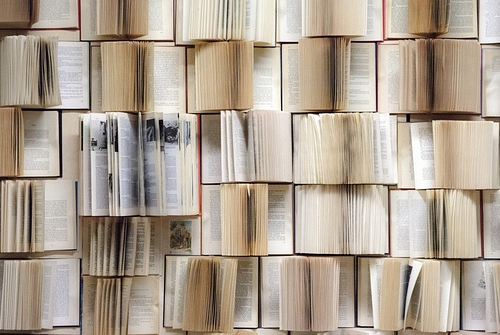 辦理快手小店的營業執照需要準備的資料