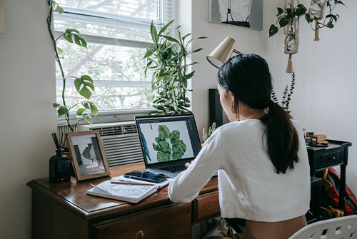 天貓網店主如何裝修店鋪？裝修方法有哪些？