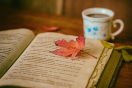 保持職場競爭力的方法(如何在職場中脫穎而出?)