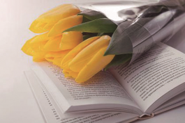 鍛煉職場語言表達能力(分享自己輸入輸出的途徑)