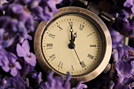 抖音小店外包客服服務(wù)后都能解決哪些問(wèn)題?