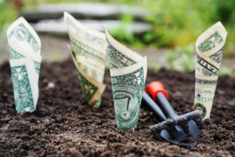 小紅書(shū)網(wǎng)店的客服為什么會(huì)選擇外包出去？