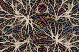 成為專業外包客服人員一定要掌握的技能